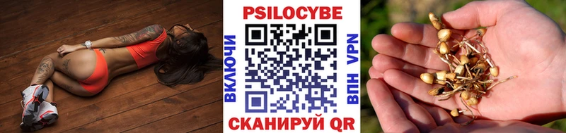 Псилоцибиновые грибы мухоморы  МЕГА ССЫЛКА  Черепаново  купить  